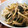 低カロ探検隊's cooksnap of when they made すっぱ旨い＊ほうれん草ともやしの中華炒め.