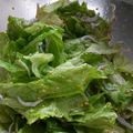 ぴあののりこ's cooksnap of when they made 釜しらすレタスのパリシャキナムル(簡単).