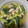 クックT5P0XS☆'s cooksnap of when they made 小松菜とあさりの簡単煮.