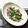 ふれんでぃあ's cooksnap of when they made おばんざい★ぬた（てっぱい）.