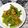 クックZABSOT☆'s cooksnap of when they made 十六ささげのゴマ和え.