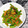 クックZABSOT☆'s cooksnap of when they made 十六ささげのゴマ和え.