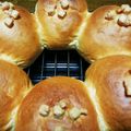 lana_tan's cooksnap of when they made 手こねもっちりちぎりパン.