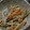 ヨシヨッシー's cooksnap of when they made ごぼうのごまマヨサラダ.