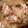 サバ先生's cooksnap of when they made ふきとタケノコと鶏もも肉の煮物.