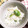 ねーこねこ's cooksnap of when they made そら豆と桜海老のご飯.