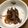 3645's cooksnap of when they made ホタルイカと生姜の煮付け.