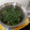 クックZVL9NR☆'s cooksnap of when they made 舞茸のお味噌汁♡.