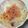 ちかﾁｬﾝ☆'s cooksnap of when they made 簡単！とろ～り半熟卵とキャベツのグラタン.