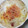 ちかﾁｬﾝ☆'s cooksnap of when they made 簡単！とろ～り半熟卵とキャベツのグラタン.