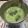 67luna's cooksnap of when they made ◆簡単美味しい♪青汁豆乳カルピス◆.