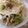 たいがちん's cooksnap of when they made 春キャベツの親子巣ごもり丼.