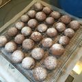 江ノ電ゴー's cooksnap of when they made ココアのスノーボール.