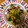 クラミー's cooksnap of when they made 長ねぎと豚小間肉の塩だれ炒め.