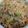 クックEKELXT☆'s cooksnap of when they made 卯の花の煮物＊(すき焼きリメイク).