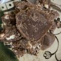 Mihirosei's cooksnap of when they made 美肌‼ 酒粕豆乳アイスクリーム.