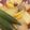 コアラとたぬき's cooksnap of when they made 大根とオクラの煮物.