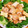 ゆまつは's cooksnap of when they made ぷりぷり海老と厚揚げのマヨネーズ炒め♬.