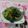 イチゴ、イチゴ。's cooksnap of when they made ベジ♪チンゲン菜の塩昆布あえ.