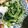 クックMB0955☆'s cooksnap of when they made 豆苗のガーリック炒め.