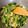 クック5YKHPP☆'s cooksnap of when they made 小松菜としめじの卵炒め.