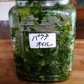 カマンちゃん's cooksnap of when they made 基本のパクチーオイル.