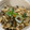 Kirin♬'s cooksnap of when they made 舞茸の炊き込みご飯.