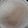 カクヨ's cooksnap of when they made 生姜入り、ほうじ茶ラテ.