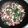 ♬あじさいのレシピ♬'s cooksnap of when they made いかといんげんと新生姜のガーリック炒め.