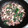 ♬あじさいのレシピ♬'s cooksnap of when they made いかといんげんと新生姜のガーリック炒め.