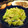 37⭐'s cooksnap of when they made 【簡単】キャベツの酢の物.