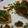 saki1010's cooksnap of when they made UNAGI　de　ASAGI（うなぎ洋風ご飯）.