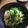 白虎野の娘's cooksnap of when they made 超簡単！ツナ卵丼❤.