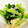 Yakkocco's cooksnap of when they made 小松菜の大根おろし和え♬.