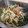 airi777's cooksnap of when they made 【保育園給食】オクラときゅうりのおかか和え.