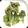 クックyama125's cooksnap of when they made タラの芽　天ぷら.