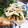 ☆mamingo☆'s cooksnap of when they made もやしと青梗菜のオイスターごま油☆.