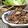 ダイナマイト漆黒's cooksnap of when they made ひき肉納豆包んでビールぅ～（パパレシピ）.