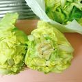 すぬ♥'s cooksnap of when they made レタス、白菜、キャベツの、長期保存方法！.