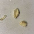 ♡ちょも♡'s cooksnap of when they made にんにくの皮と芯を同時につるっと取る方法.