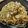 ひぃちゃんひー's cooksnap of when they made ツナと長ネギの簡単パスタ.