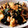 ｶｯﾊﾟ。's cooksnap of when they made しめじとわかめの 卵炒め.