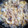 クック0UQ98I☆'s cooksnap of when they made 牛丼たまごとじ.
