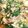クック5WI343☆'s cooksnap of when they made ♪もやし挽肉あんかけ豆腐♪.