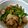 asa1028's cooksnap of when they made 豚肉とにんにくの芽のｼﾝﾌﾟﾙ塩炒め.