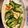 トイピアノ弾きのねこ's cooksnap of when they made 豆腐とキュウリのピリ辛中華炒め.