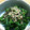 ううちママ's cooksnap of when they made 手抜きさんへ☆ほうれん草と塩昆布の和え物.
