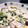 匿名です's cooksnap of when they made 鮭とほうれん草ときのこのクリームパスタ.