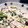 匿名です's cooksnap of when they made 鮭とほうれん草ときのこのクリームパスタ.