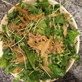 クックEW4ZVE☆'s cooksnap of when they made 簡単！ラム肉のごぼう和え.